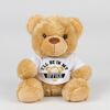 Bear in a t-shirt Thumbnail